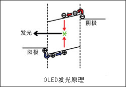 OLED的原理